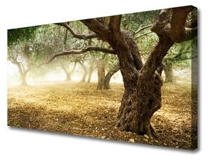 Obraz na plátne Strom tráva príroda 125x50 cm