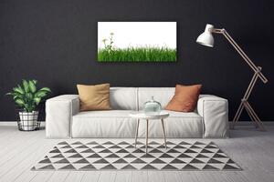 Obraz na plátne Burina príroda rastlina 100x50 cm