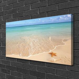 Obraz na plátne Pláž hviezdice príroda 100x50 cm