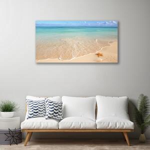 Obraz na plátne Pláž hviezdice príroda 100x50 cm