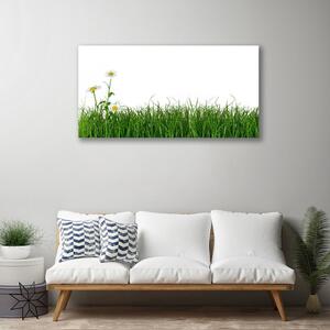 Obraz na plátne Burina príroda rastlina 100x50 cm