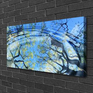 Obraz na plátne Voda stromy umenie 100x50 cm