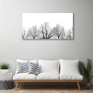 Obraz Canvas Stromy rastlina príroda 100x50 cm