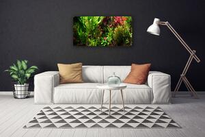 Obraz Canvas Rastlina kvety príroda 100x50 cm