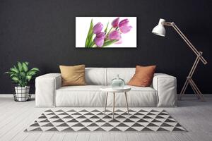 Obraz Canvas Tulipány kvety rastlina 100x50 cm