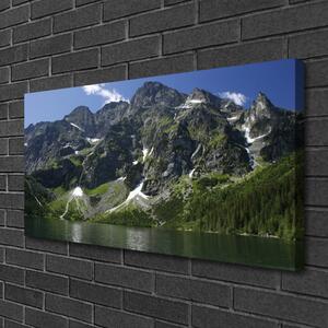 Obraz Canvas Hory jazero les príroda 100x50 cm