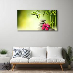 Obraz Canvas Bambus kvet kamene zen 100x50 cm