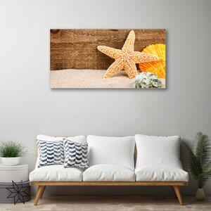 Obraz Canvas Piesok hviezdica umenie 100x50 cm