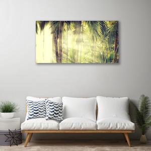 Obraz Canvas Les palmy stromy príroda 100x50 cm