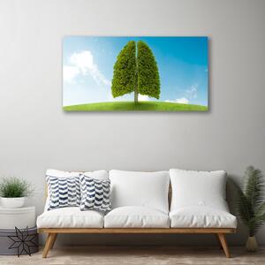 Obraz Canvas Tráva strom pľúca príroda 100x50 cm