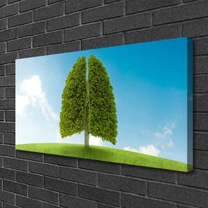 Obraz Canvas Tráva strom pľúca príroda 100x50 cm