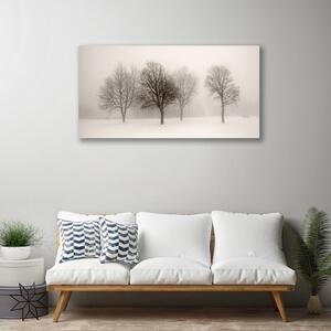 Obraz Canvas Sneh stromy príroda 100x50 cm