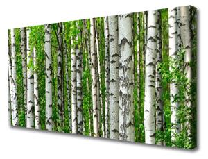 Obraz Canvas Les rastlina príroda 100x50 cm