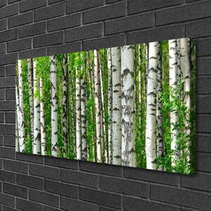 Obraz Canvas Les rastlina príroda 100x50 cm