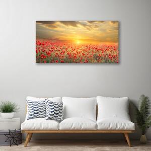 Obraz Canvas Slnko lúka mak kvety 100x50 cm