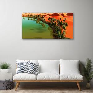 Obraz Canvas Jazero púšť palmy 100x50 cm