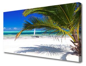 Obraz Canvas Pláž palma príroda 125x50 cm