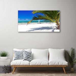 Obraz Canvas Pláž palma príroda 100x50 cm