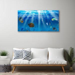 Obraz na plátne Ryba príroda 100x50 cm