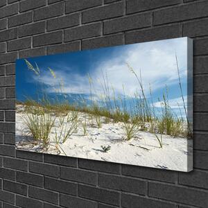 Obraz na plátne Pláž príroda 100x50 cm