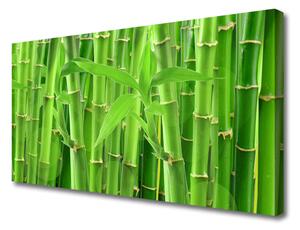 Obraz na plátne Bambus stonka kvet rastlina 100x50 cm