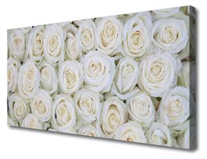 Obraz na plátne Ruže kvety rastlina 125x50cm