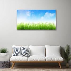 Obraz na plátne Tráva príroda rastlina 100x50 cm