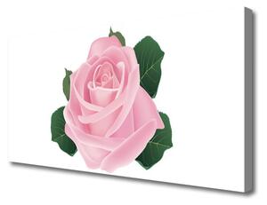 Obraz na plátne Ruže kvet rastlina 100x50 cm