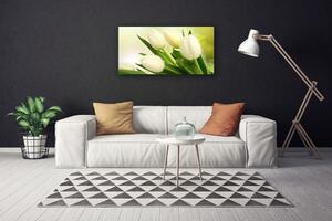 Obraz na plátne Tulipány kvety rastlina 100x50 cm