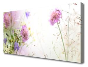 Obraz na plátne Kvety rastlina príroda 100x50cm