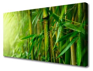 Obraz na plátne Bambus stonky rastlina 125x50 cm
