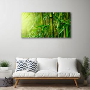 Obraz na plátne Bambus stonky rastlina 100x50 cm