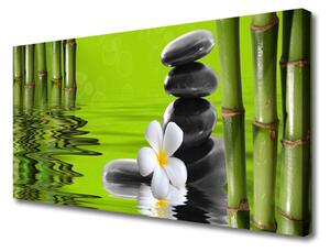 Obraz na plátne Bambus kamene rastlina 100x50 cm