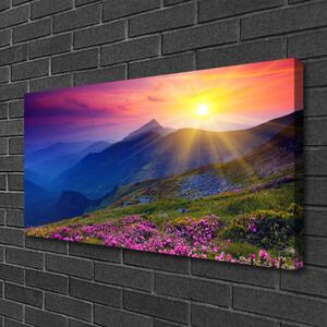 Obraz na plátne Hory kvet lúka krajina 100x50 cm