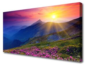 Obraz na plátne Hory kvet lúka krajina 100x50 cm