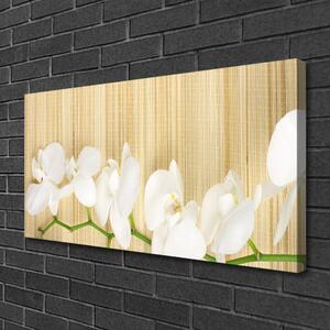 Obraz na plátne Kvety rastlina príroda 100x50 cm