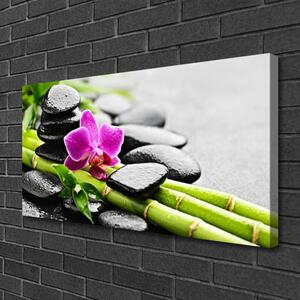 Obraz na plátne Bambus kvet kamene umenie 100x50 cm