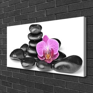 Obraz na plátne Kvet kamene umenie 100x50 cm