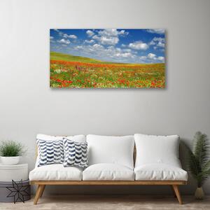 Obraz na plátne Lúka kvety príroda 100x50 cm