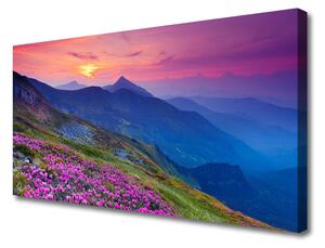 Obraz na plátne Hory lúka kvety príroda 100x50 cm