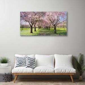 Obraz na plátne Chodník stromy príroda 100x50 cm