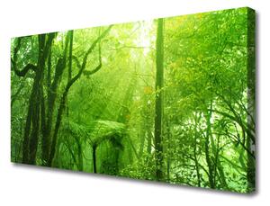 Obraz na plátne Stromy príroda 100x50 cm