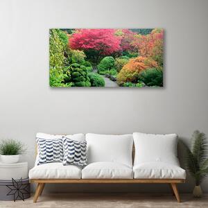 Obraz na plátne Záhrada kvetina strom príroda 100x50 cm