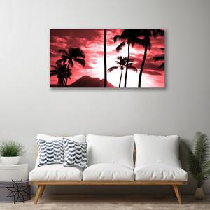 Obraz na plátne Hora palmy stromy príroda 100x50 cm