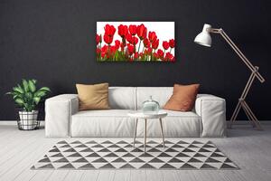 Obraz na plátne Kvety 100x50 cm