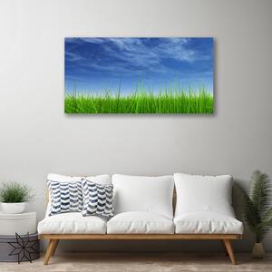 Obraz na plátne Nebo tráva príroda 100x50 cm