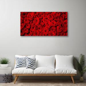 Obraz na plátne Ruže 100x50 cm