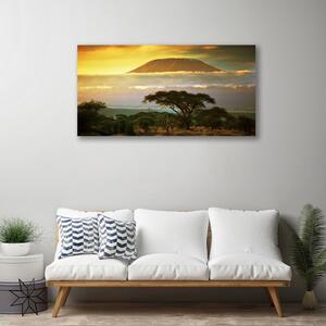 Obraz na plátne Strom hory príroda 100x50 cm