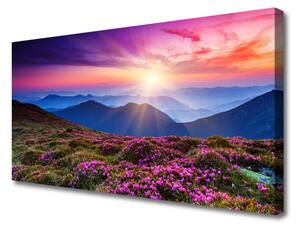 Obraz na plátne Hora lúka kvety príroda 100x50 cm