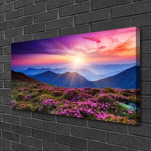 Obraz na plátne Hora lúka kvety príroda 100x50 cm